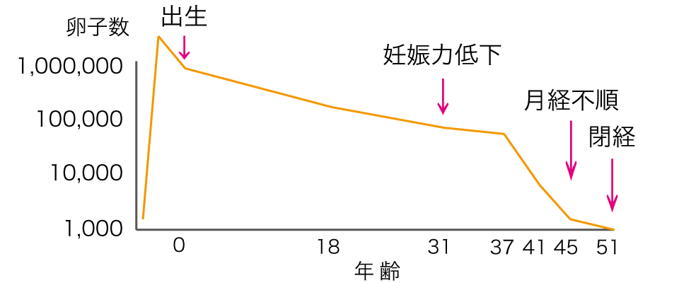 卵子数と年齢の関係